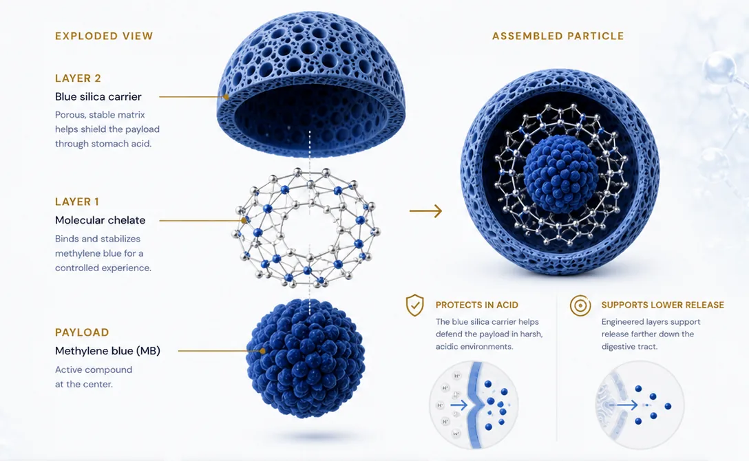 Two-layer particle technology visual for partner review